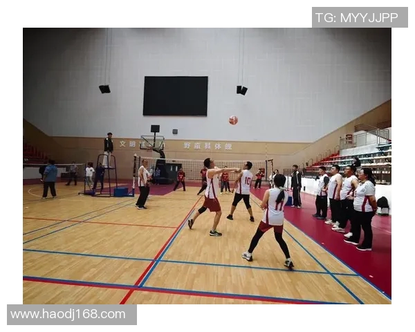 西安排球队在排球心理素质排名中创新高展现团队实力与信心